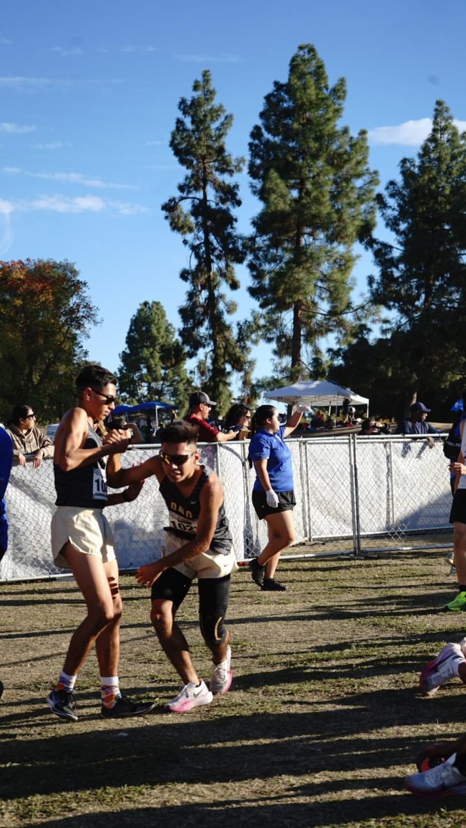 Junior Alex Garcia (left) helps teammate Israel Gutierrez stand up after finishing their race during the CIF Central Section meet. 