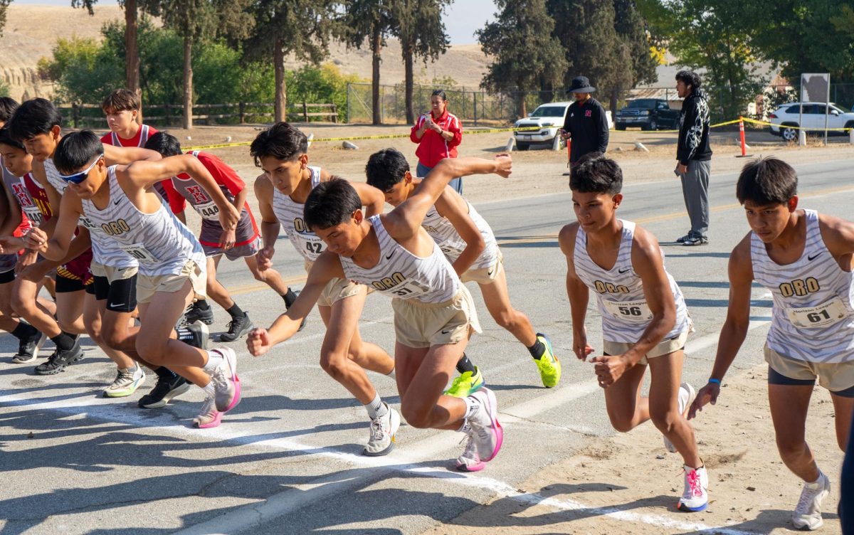 Del Oro’s Frosh Soph team finished first at the SYHL meet at Hart Memorial Park on Nov. 14. 