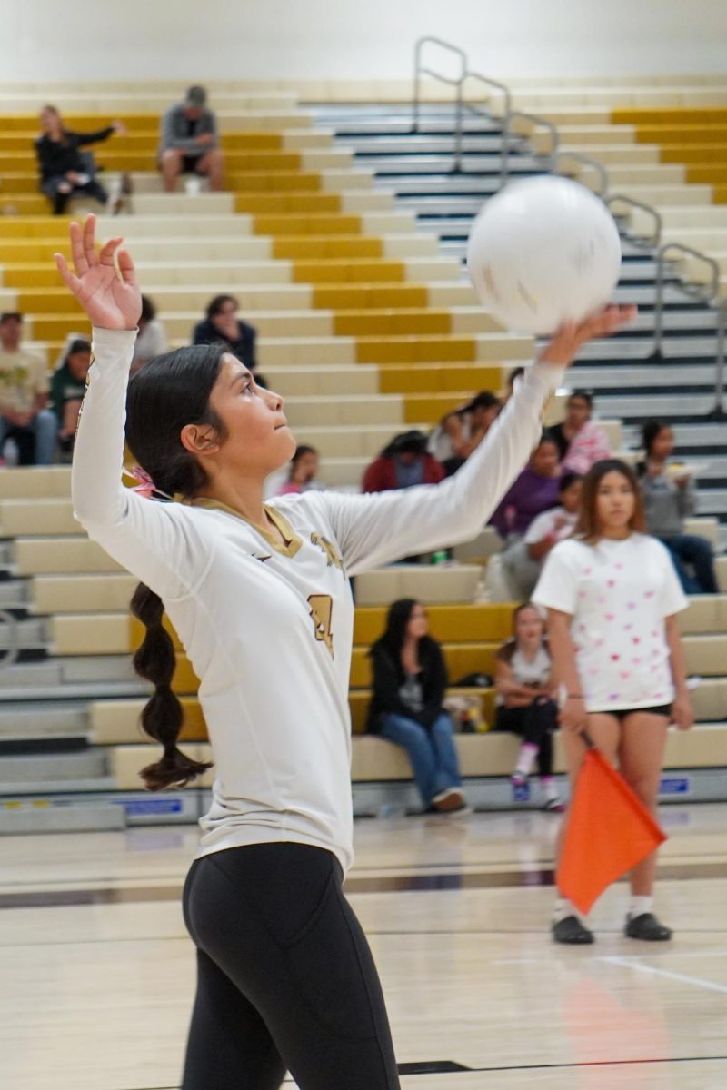 "It still hasn't hit me," said sophomore Lynneah Garza, of the team's 3-0 victory over Golden Valley. The win was Del Oro's first since moving up to the varsity level three seasons ago.